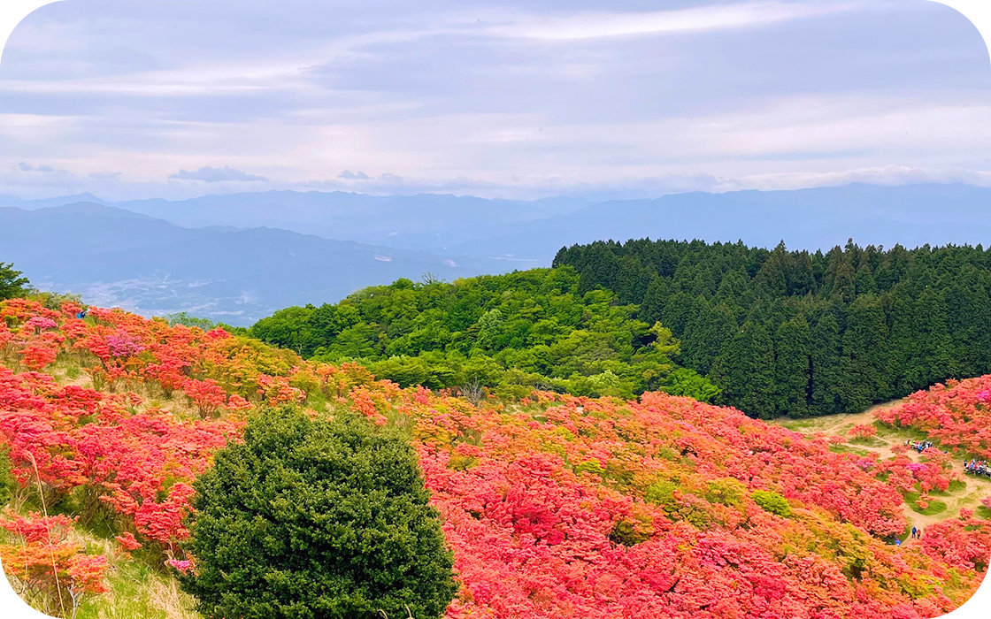 ビジネス旅館やまべMV画像3